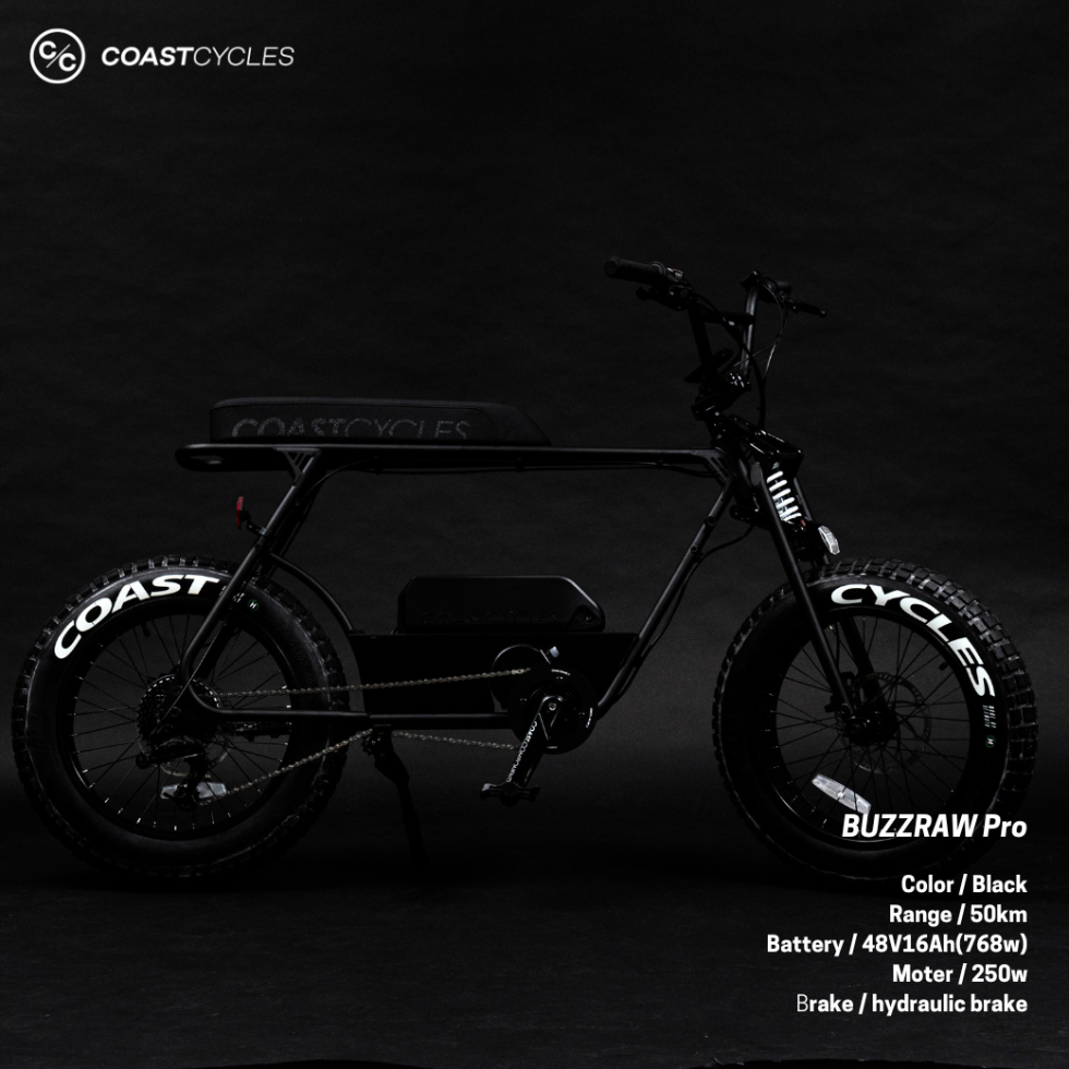 電動アシスト自転車】Buzzraw classic 電動アシスト自転車】Buzzraw classic