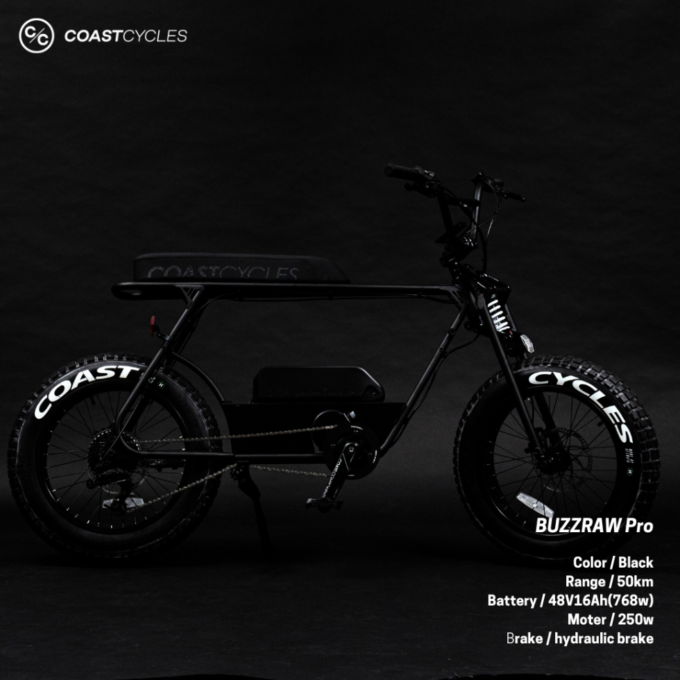 【PRICE DOWN】COAST CYCLES  BUZZRAW Pro